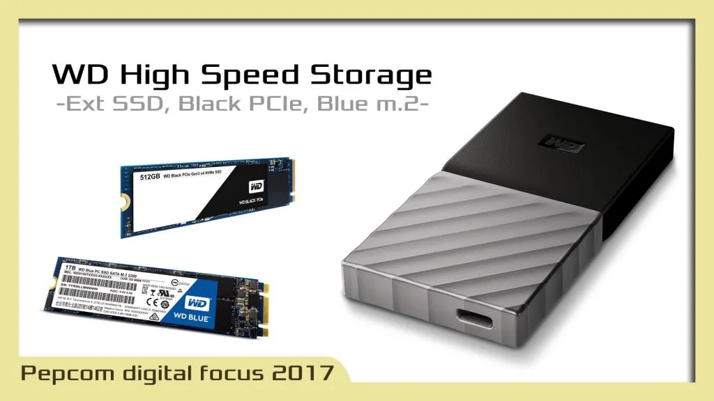 Western Digital / Sandisk