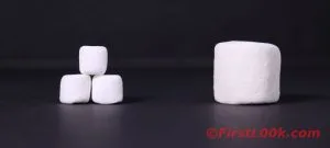 Marshmallows Mini vs Large
