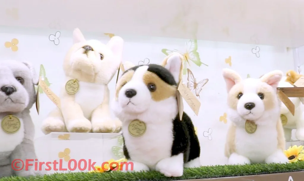 Aurora Puppies