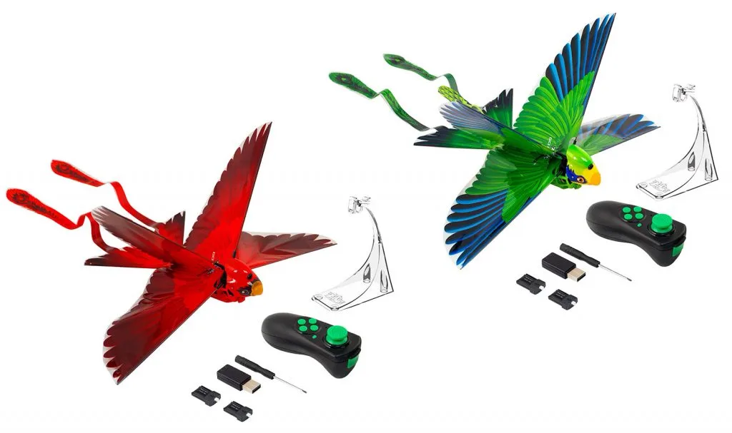 Go Go Bird