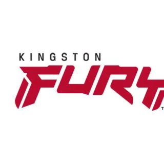 Kingston Fury - Team Liquid