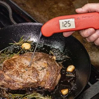 Thermapen ONE tests Steak