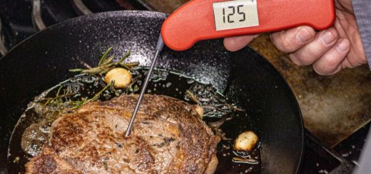 Thermapen ONE tests Steak