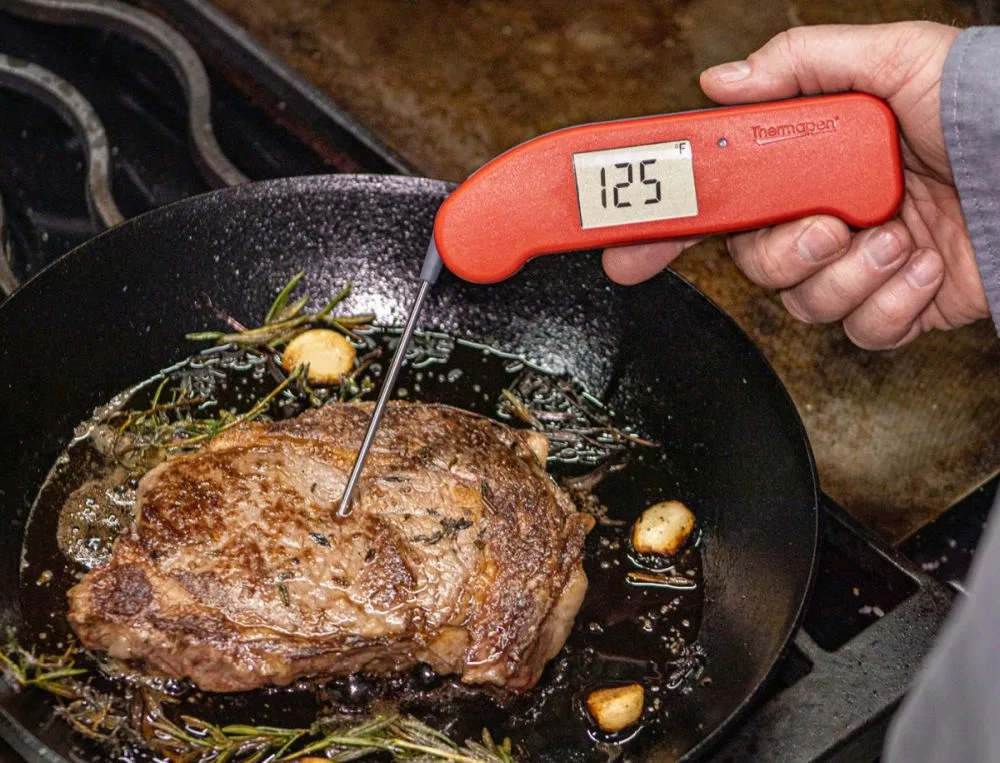 Thermapen ONE tests Steak