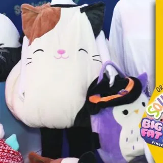 Sweet Suite 2022 - Jazwares Squishmallows & BigFatYarn
