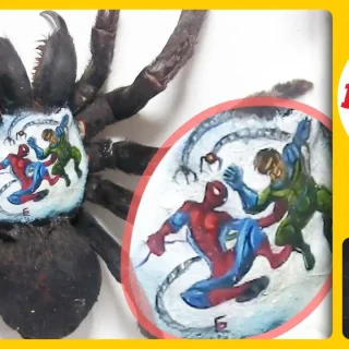 Ripley's Believe It Or Not @Sweet Suite 2025