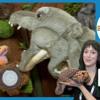 Folkmanis Puppets 50yr anniversary