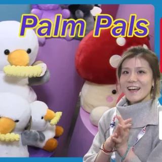 Palm Pals 2026